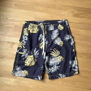 American Eagle Outfitters Men’s Swim shorts